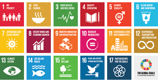 Last Chance! Sustainable Development Goals Half Day Workshop