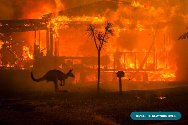 The Australian Summer Fires Bring The Challenges of The Coming Decade Into New Focus