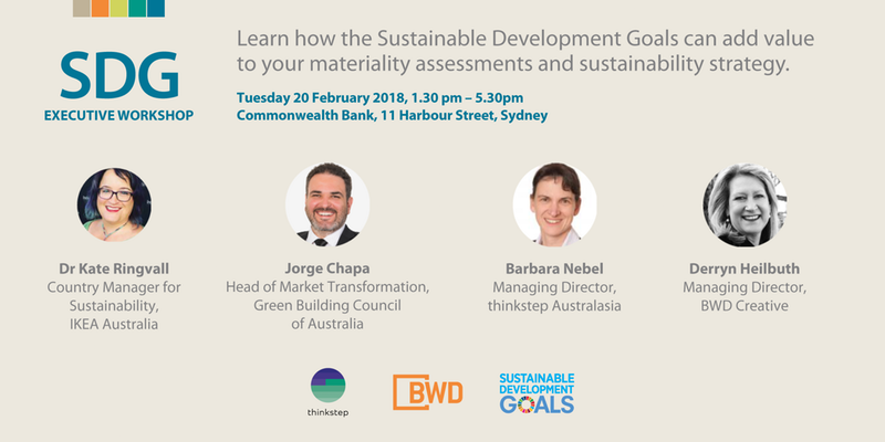 UN Sustainable Development Goals: Executive Workshop