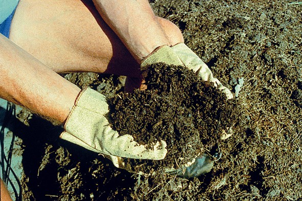 getmedia_51aa474e-979a-463b-968f-48b46defa452_RS2560_Biosolids_Hands.jpg.aspx_width=591&height=393&ext=;