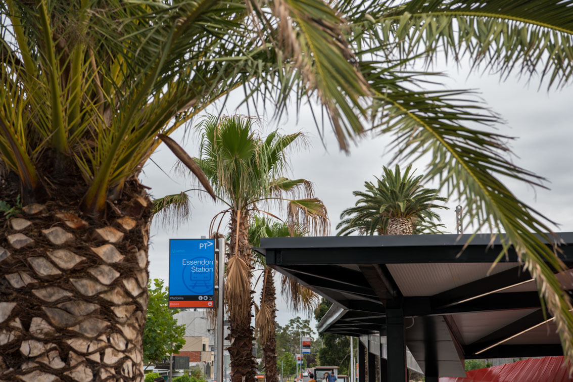 getmedia_a17fbf2f-c4cb-4769-b868-e253469fdc0a_144_Buckley_Essendon-Station-Canopies-and-Retained-and-Relocated-Heritag-Palms. (1);