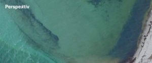 Banner-6-300x124;