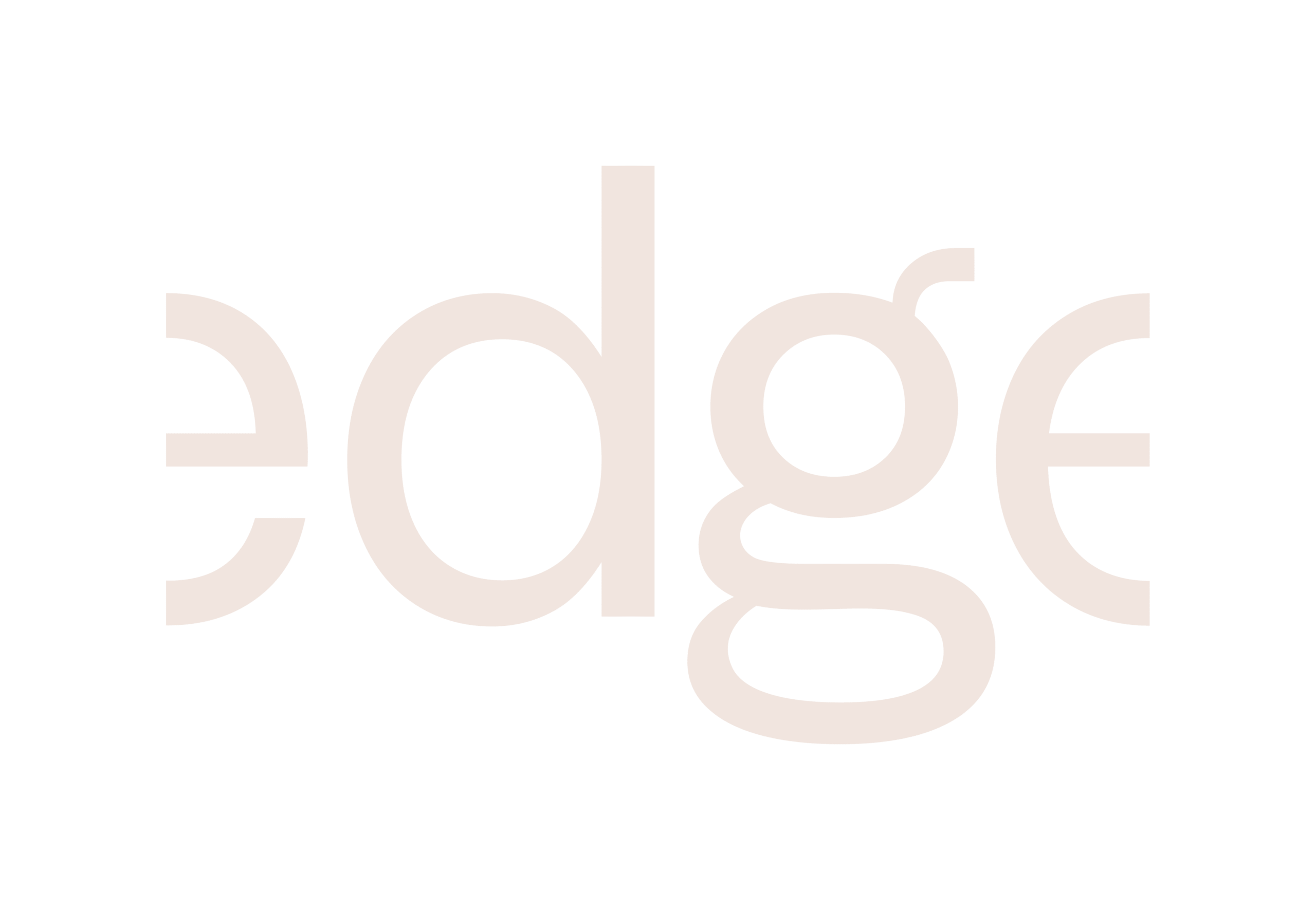 Edge_Logo_Stone;