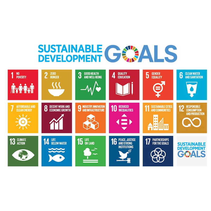 SDGs-800x800-1.png;