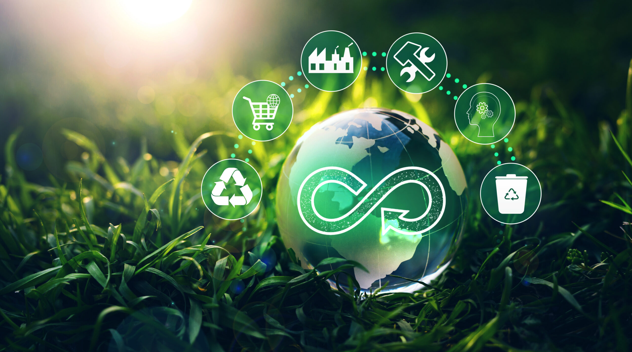 Circular Economy Coalition