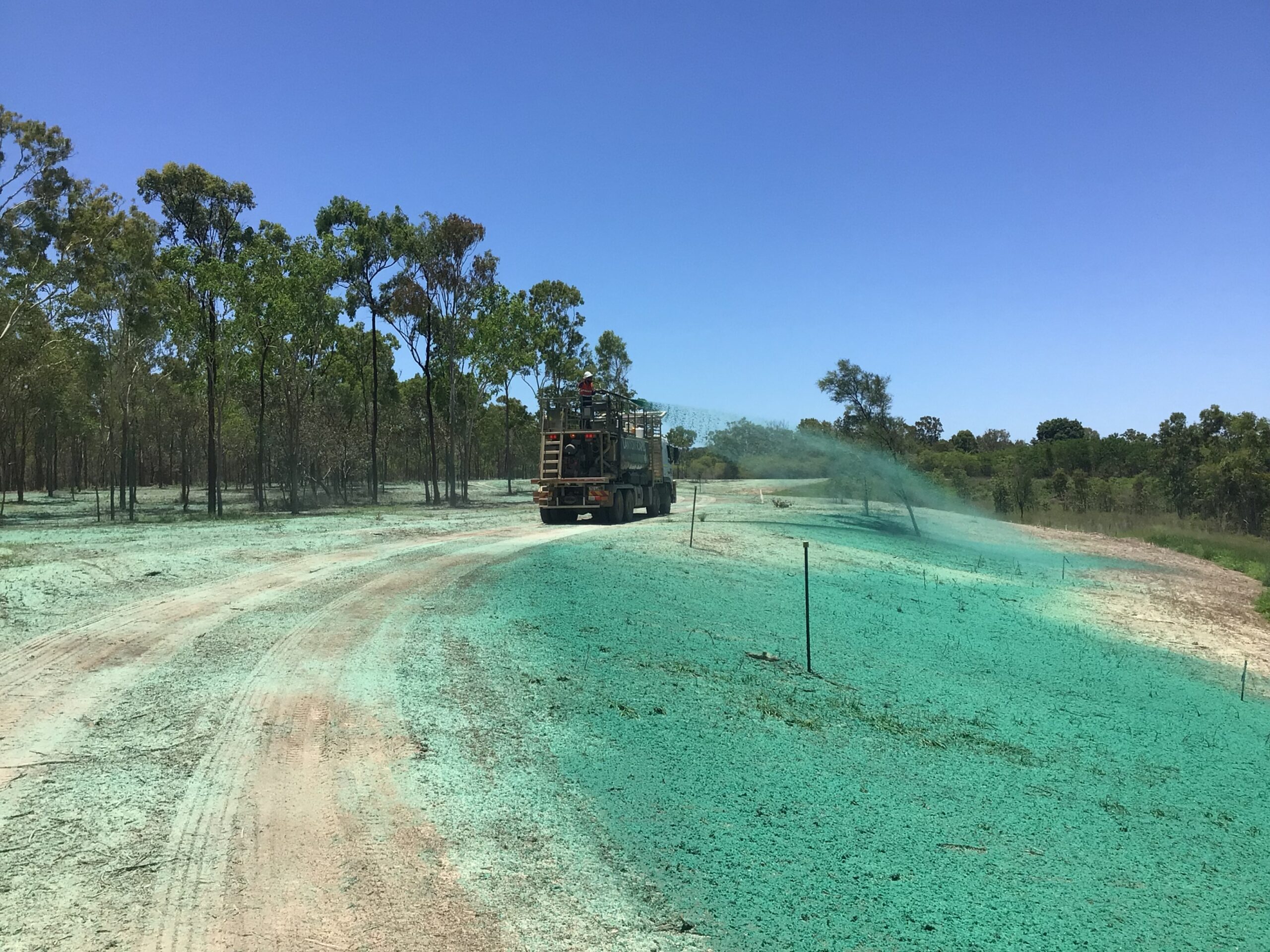Townsville Ring Road (Stage 5) – Re-introduction of Endangered Species through Environmentally Focused Design & Construction – Environmental Outcomes