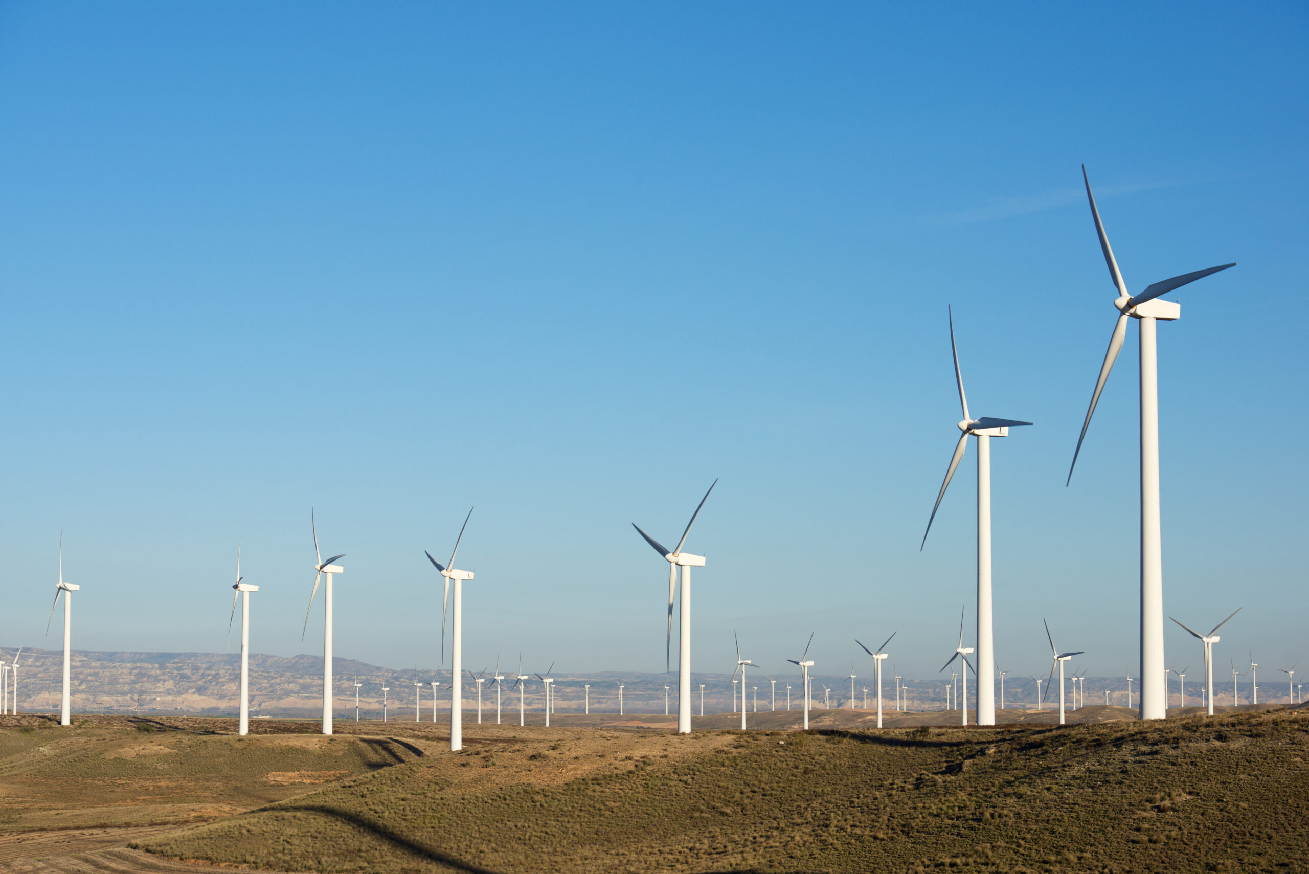 ISC Member Update from the CEO – December 2024